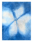 Blue Petal Flannel Boxy Allyn T